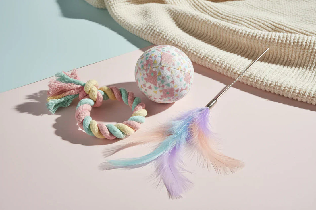 Essential Toys Every Pet Needs for Daily Playtime