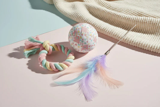 Essential Toys Every Pet Needs for Daily Playtime